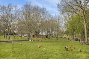 Property grounds - Cabin on 5 Acres with Stables, Firepit & Cinema (Sible Hedingham)