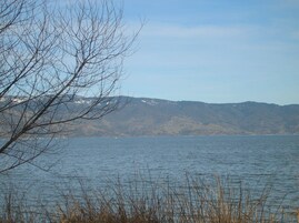 Land view from property