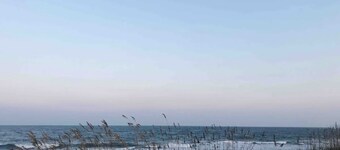 Charming loverbirds nest.  Steps from sunkissesd Tybee beach pier and pavilion