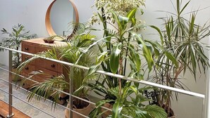 Een modern interieur met een houten dressoir, een ronde spiegel en verschillende potplanten.