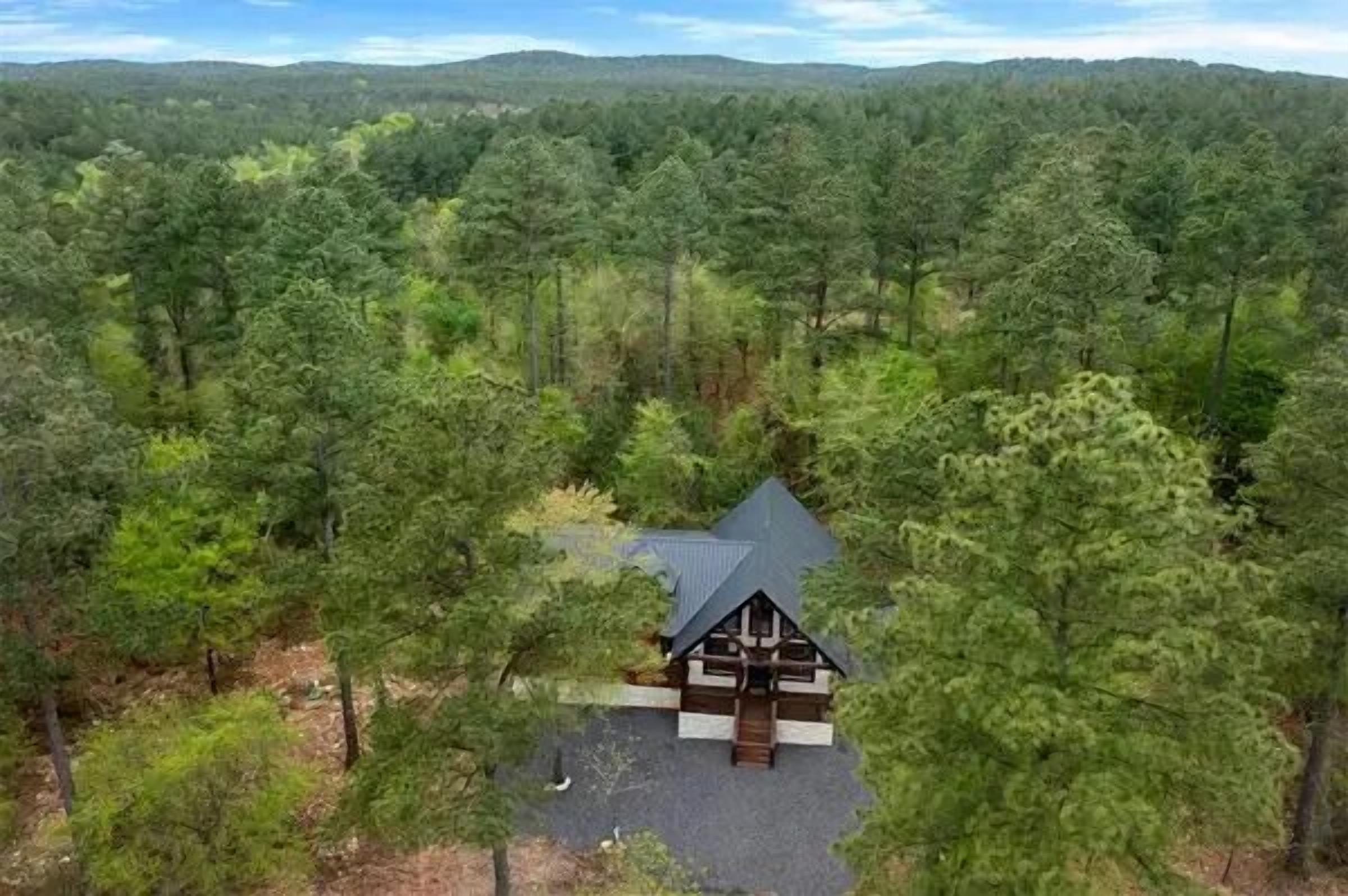 Une cabane entourée d’une forêt dense, offrant une vue dégagée sur le paysage environnant.