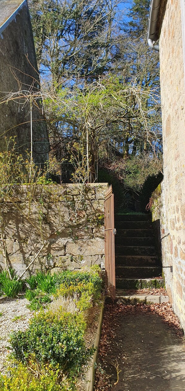 A stone staircase leading to a building, surrounded by greenery and trees.