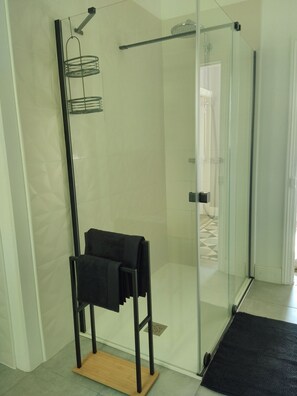 Regadera, secadora de cabello, bidet, toallas 
