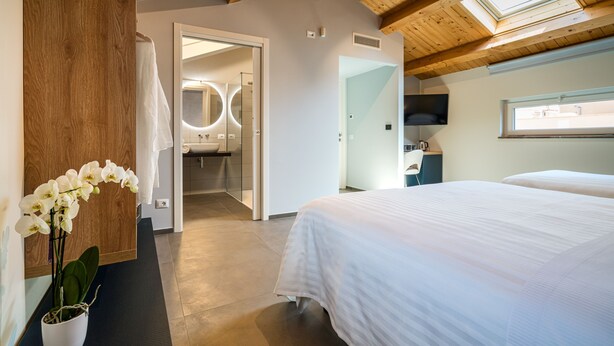 A modern hotel room with a large bed, a potted orchid, and a skylight.