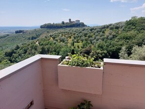 Exterior - Agriturismo Podere Pilar (Monsummano Terme)