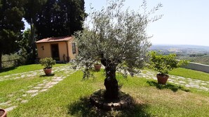 A garden with a central tree, potted plants, and a building with a tiled roof. - Agriturismo Podere Pilar (Monsummano Terme)