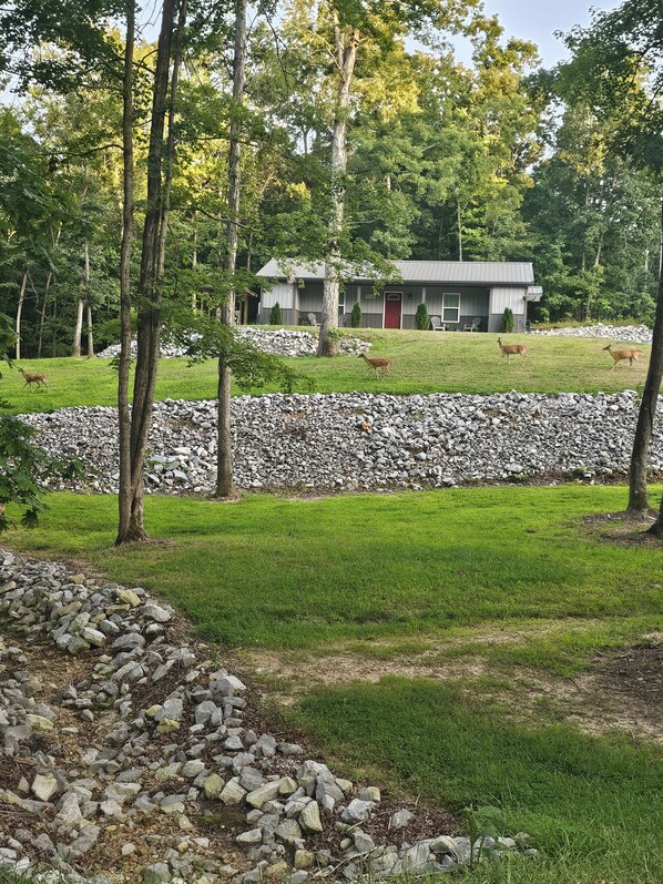 المنشأة من الخارج