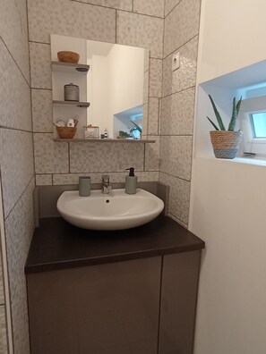 Hair dryer, towels, soap, toilet paper - Maison Avec Terrasse (Fesches-le-Châtel)