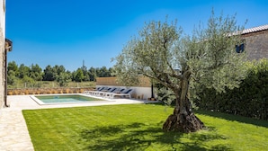 A backyard with a swimming pool, lounge chairs, and a large tree. - Nice home in Cabrunici (Cabrunici)