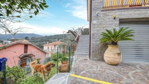 Eine Steintreppe führt zu einem Gebäude, das eine Nummer 34, einen großen Blumentopf und einen Hund auf einem Balkon mit Zaun zeigt.
