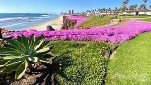Un paisaje costero con una playa, un campo de flores moradas y un cielo azul despejado.