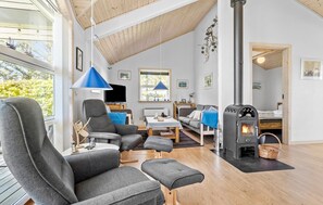 تلفزيون، مدفأة