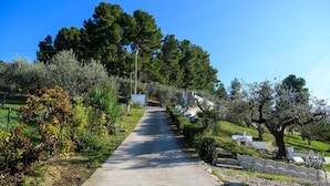 A pathway leading uphill with trees and shrubs on either side.