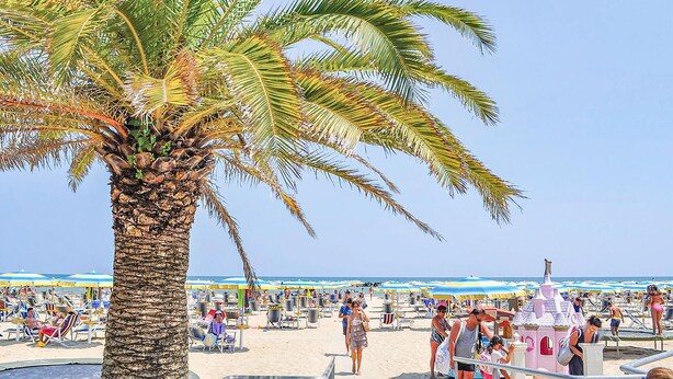 A beach with palm trees, beach chairs, umbrellas, and a castle-like structure. - Nice apartment in Moscufo with WiFi (Moscufo)