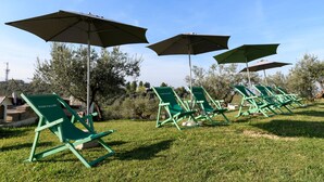 Outdoor seating with umbrellas, green chairs, and a grassy area. - Nice apartment in Moscufo with WiFi (Moscufo)