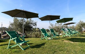 Property grounds - Amazing apartment in Moscufo with WiFi (Moscufo)