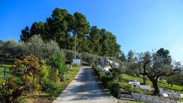 Parco della struttura