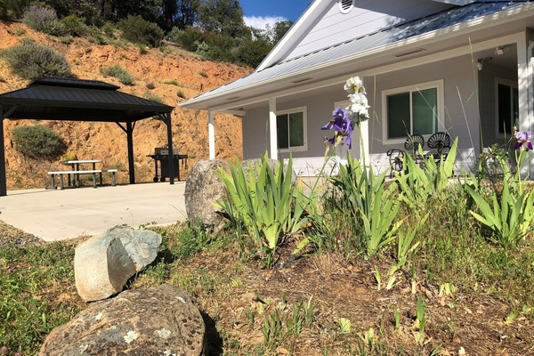 テラス / パティオ