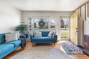 Smart TV, fireplace, books