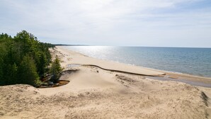 A beach with a sandy shoreline, a small stream, and dense forest on one side.