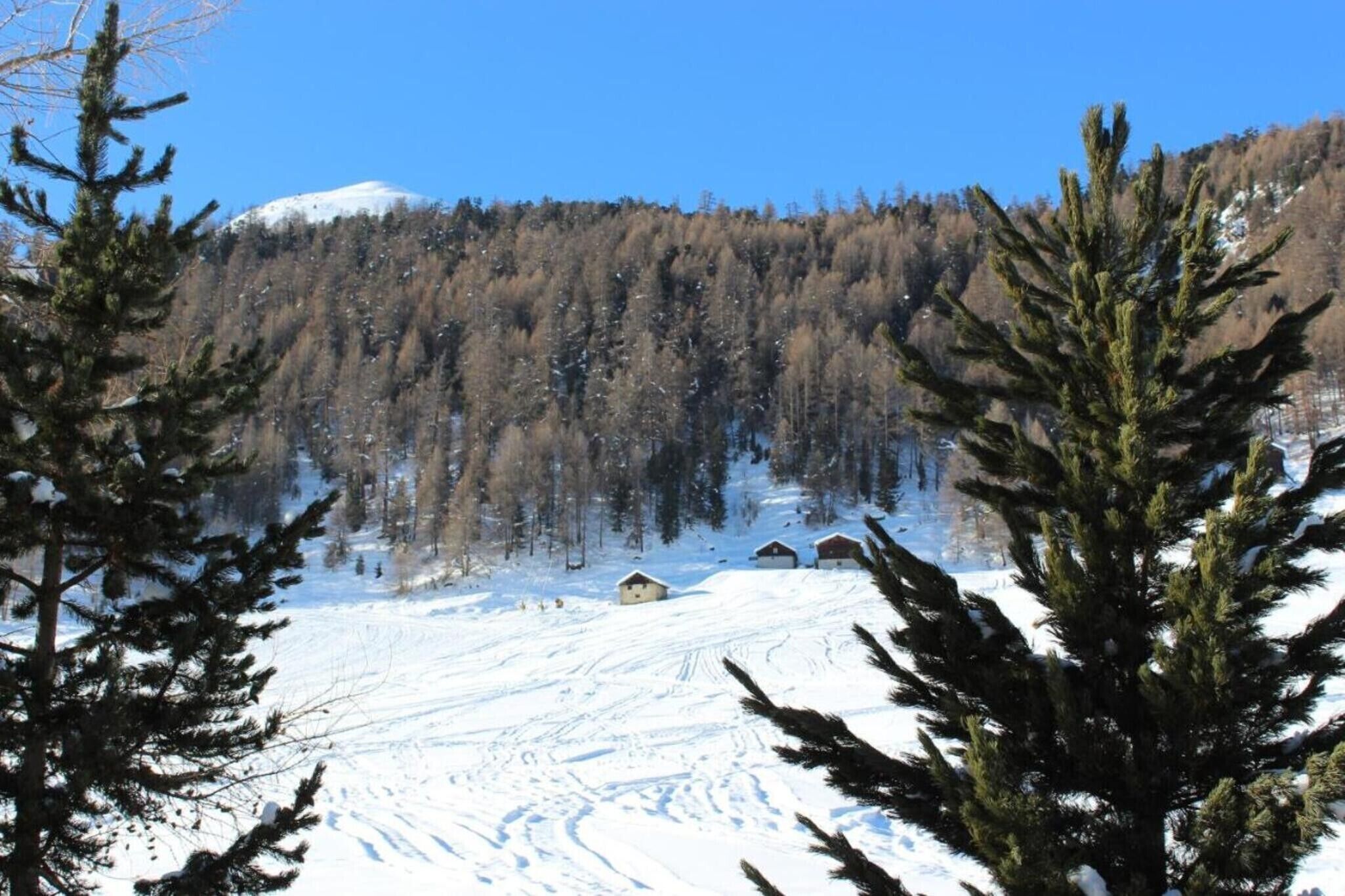 A snowy mountain landscape with a clear sky, a few houses, and dense forest.