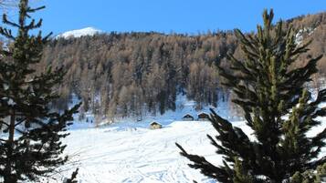 A snowy mountain landscape with a clear sky, a few houses, and dense forest.