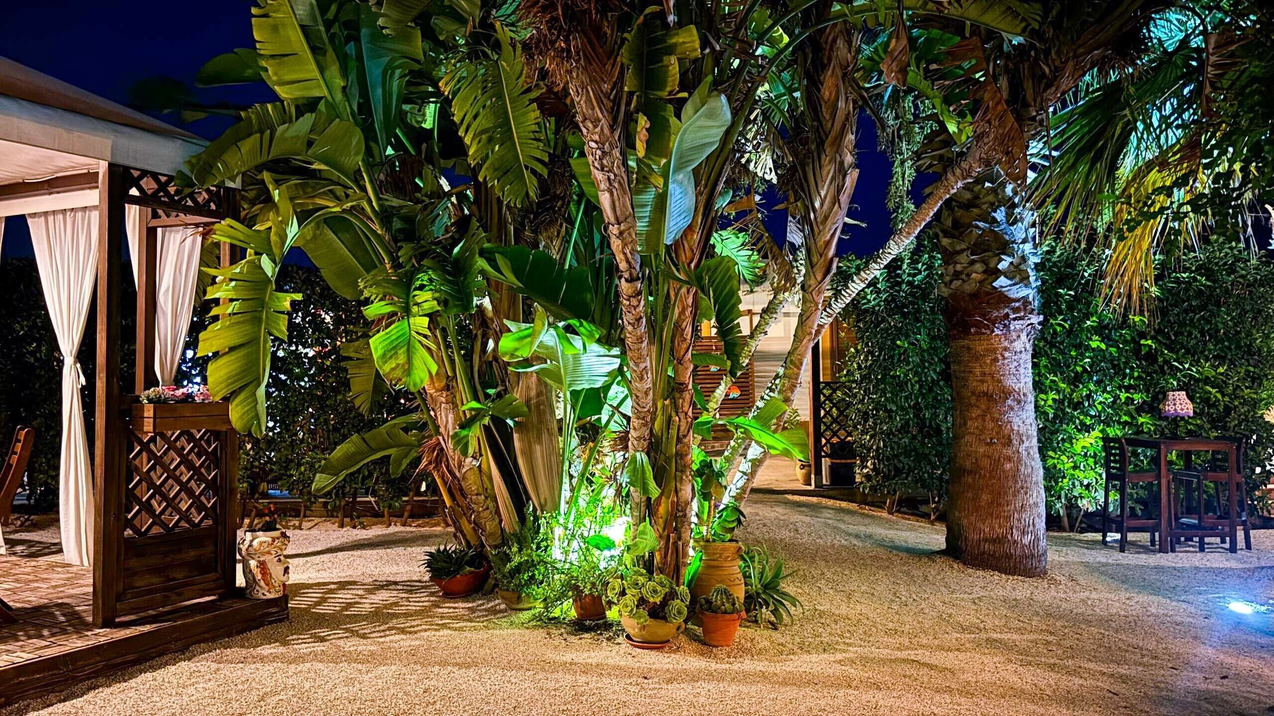 A tropical garden with a gazebo, potted plants, and a palm tree.