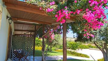 Terrazza/patio