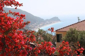 A coastal view with a building featuring a tiled roof, surrounded by red flowering bushes.