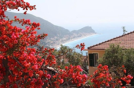 Property grounds. Apartment 'La Realidad 3' with Shared Pool, Wi-Fi and Air Conditioning