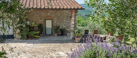 テラス / パティオ