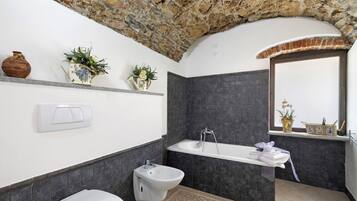 Ducha, secador de pelo y toallas