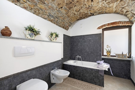 Shower, hair dryer, towels. Apartment 'Ciliegio Agriturismo La Ferla' with Private Terrace and Air Conditioning