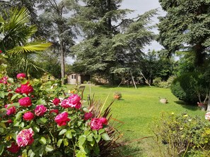 Área da propriedade