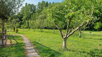 Parco della struttura