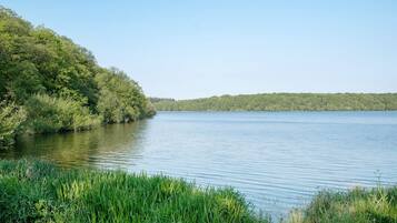 A calm lake with dense greenery on the banks.
