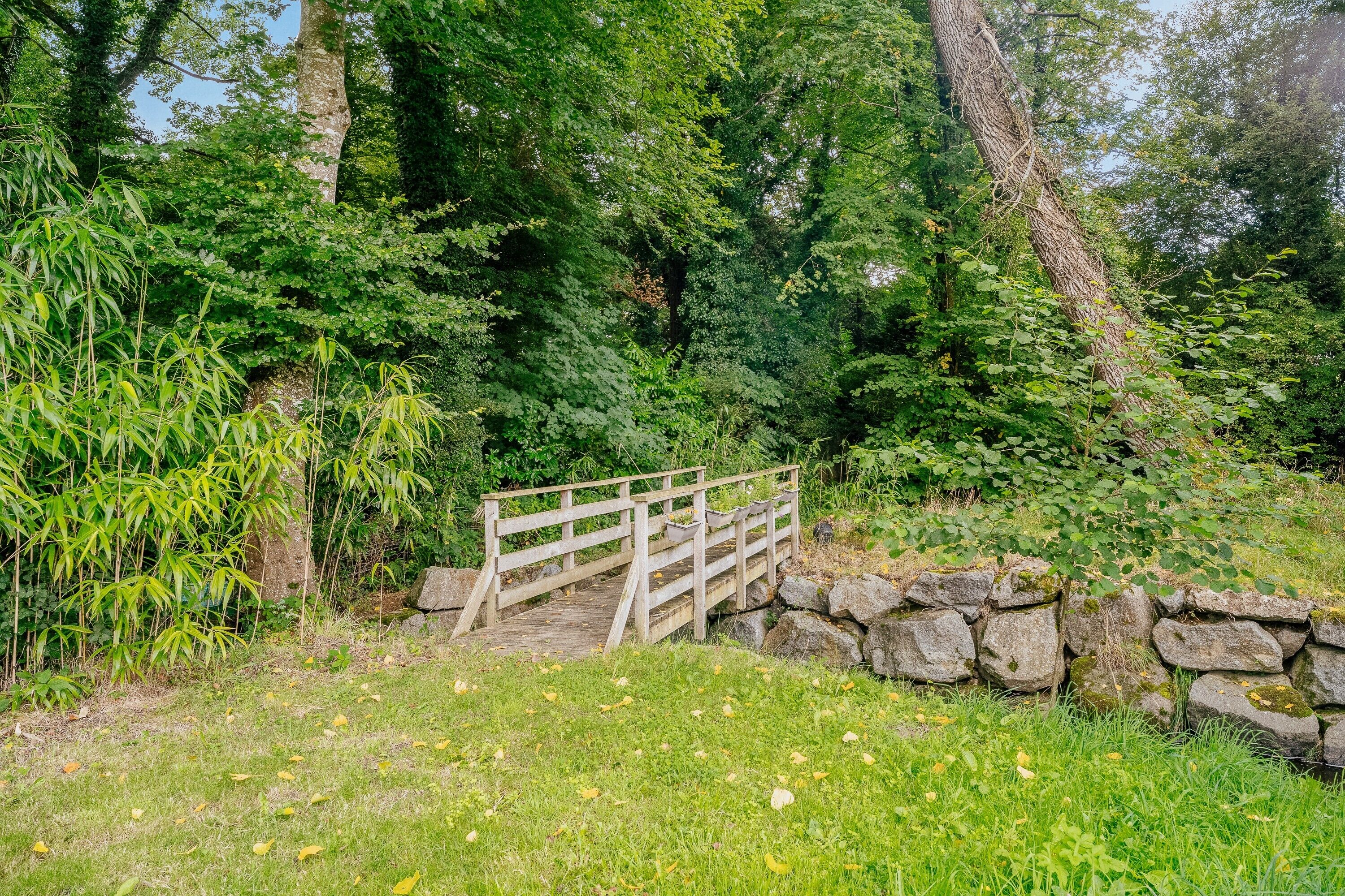Eine Holzbrücke über einer Steinmauer, umgeben von dichtem Grün und Bäumen.