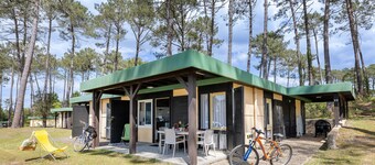 Treat yourselves to an unforgettable holiday in the heart of the Landes!