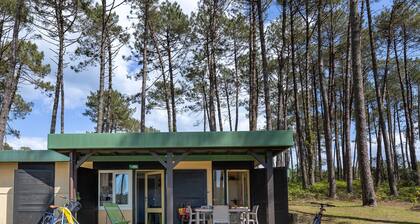 Treat yourselves to an unforgettable holiday in the heart of the Landes!