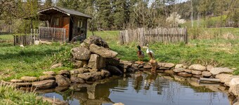 Appartamento 'Silbernagl Direkter Blick Zum See' con vista sul lago, terrazza condivisa e Wi-Fi