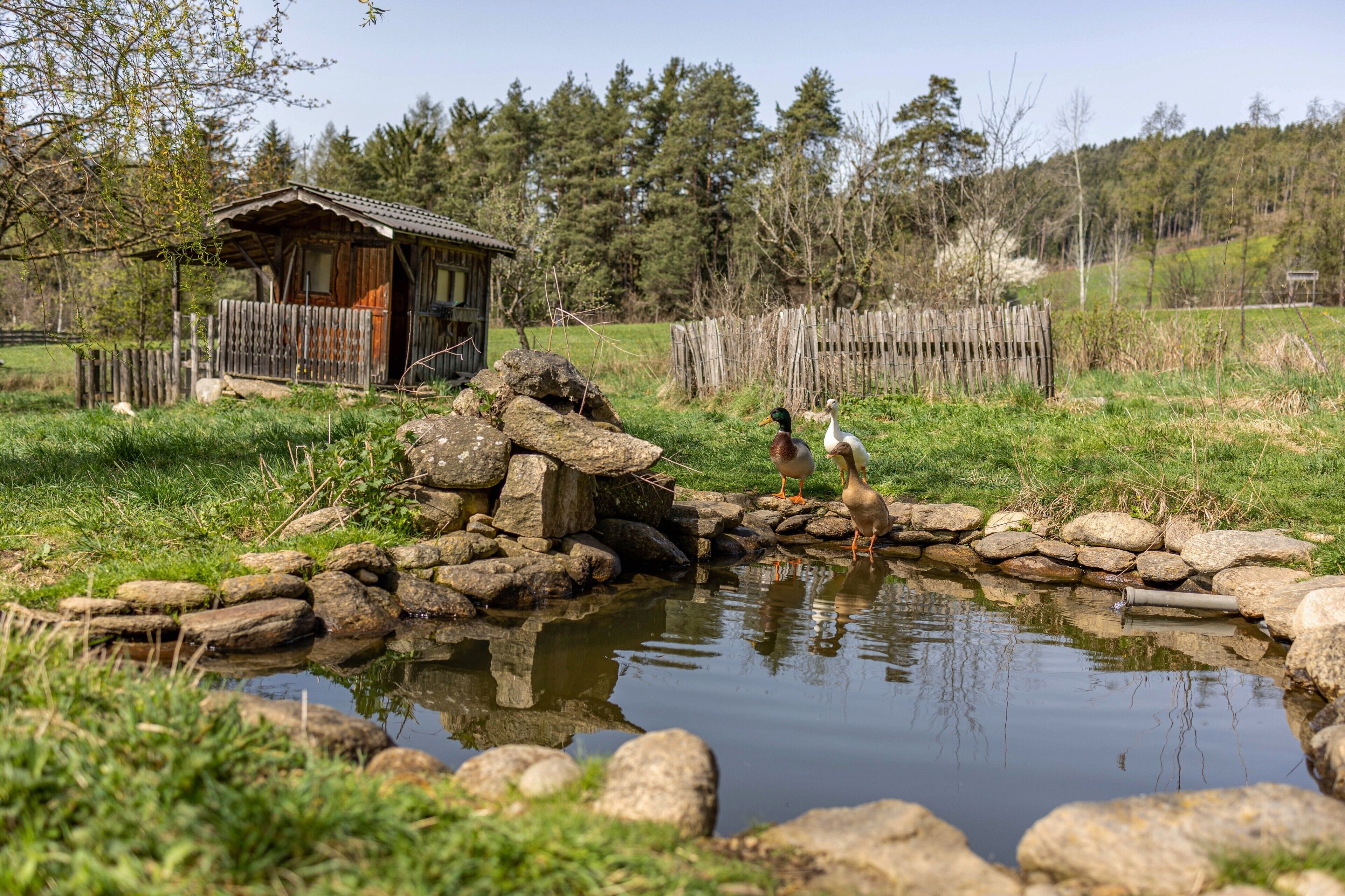 Terrein van de accommodatie