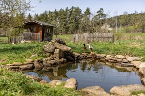 Uma cabana de madeira rústica com varanda, um lago com patos e um morro arborizado ao fundo.