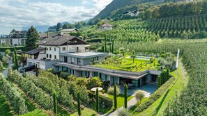 Una casa moderna con un jardín amplio, piscina y viñedo al fondo.