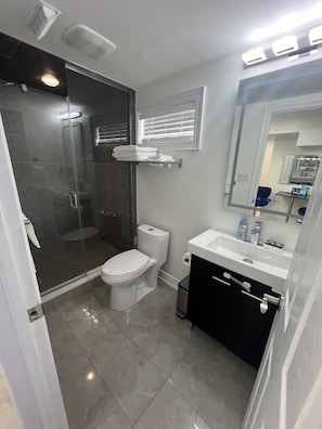 Regadera, secadora de cabello, bidet, toallas