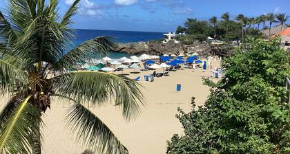 1br/2ba Oceanfront Poolside NEW Hill Top Condos Playa Alisha Beach