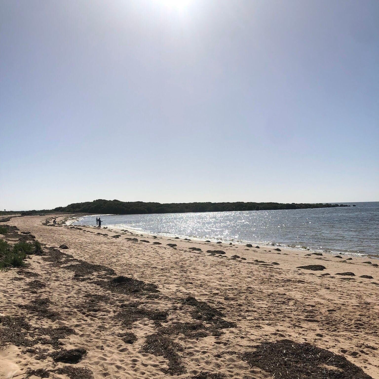Una playa arenosa con algas y rocas, un cielo despejado y una línea de costa distante.