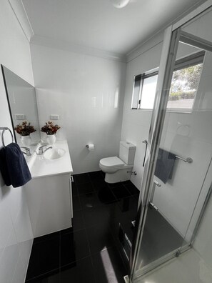 Shower, towels, toilet paper