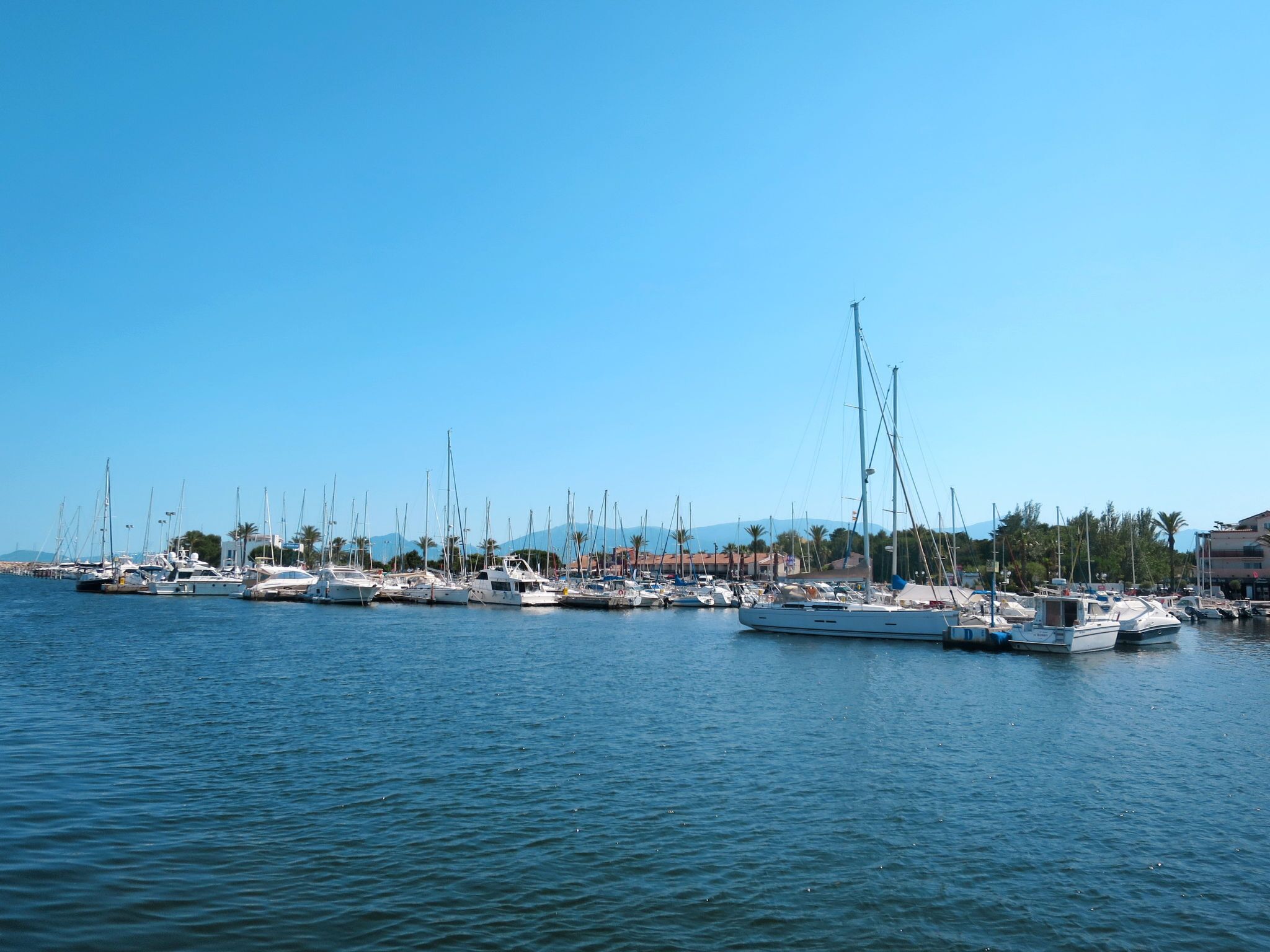 A marina with multiple boats docked along the waterfront, surrounded by buildings and palm trees.