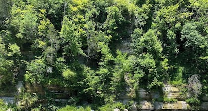 Riverside Glamping Geodome on Buffalo River - Romantic Getaway