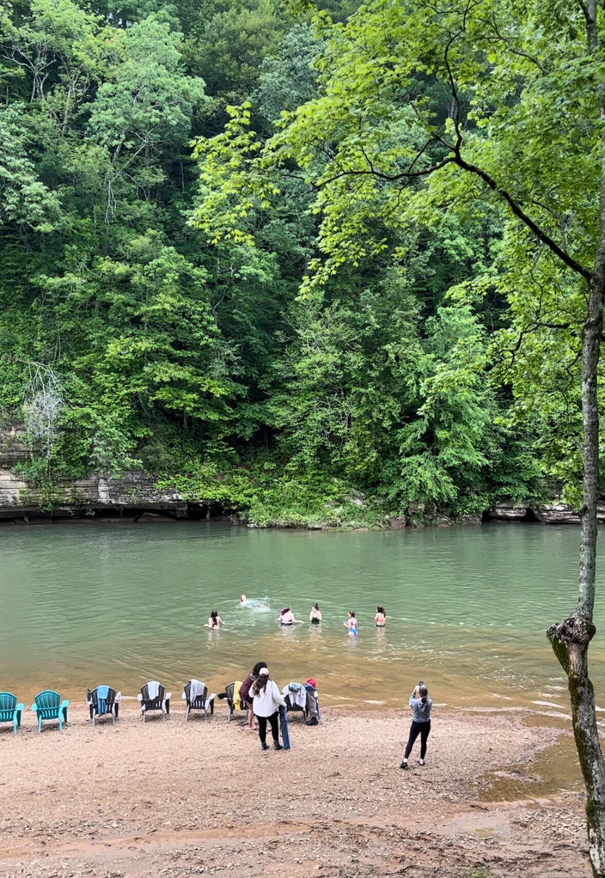 在海灘附近、躺椅
